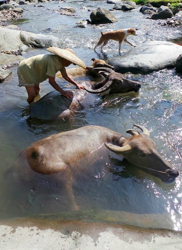 Ciomas, Jawa, Indonezja