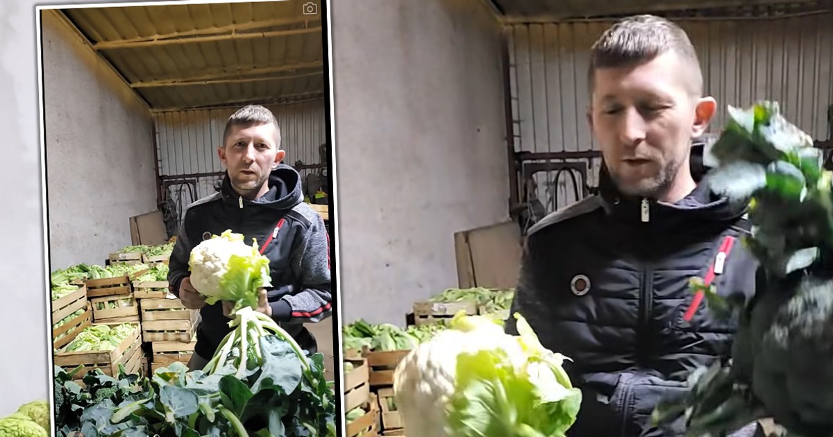 Rolnik wystawił kalafior i się zaczęło. Non stop telefony, setki wiadomości. "Och, panie"