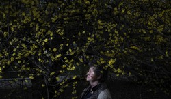 Datner: Za państwowe pieniądze historia jest zwyczajnie fałszowana [#RigamontiRazy2]