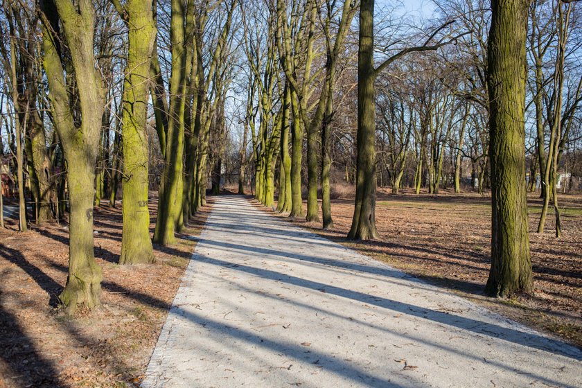 Odnowią park przy Browarnej