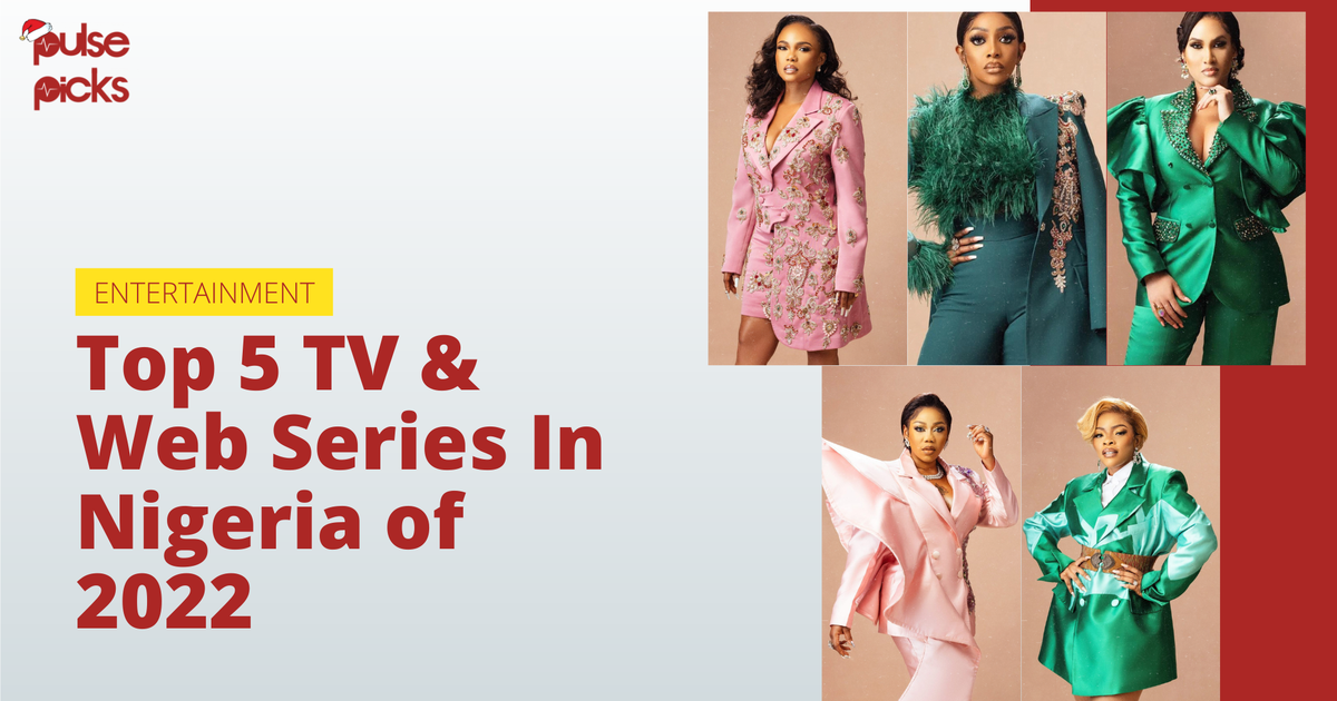 Top 5 TV and web series in Nigeria of 2022 [Pulse Picks]