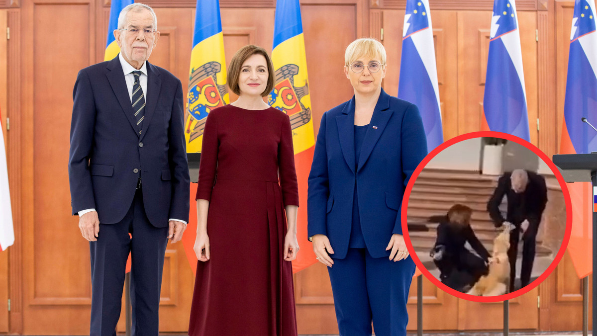 Pies prezydentki Mołdawii ugryzł prezydenta Austrii [NAGRANIE]
