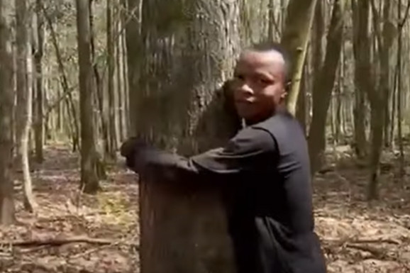 OBOREN NAJBIZARNIJI REKORD NA SVETU Student šumarstva zagrlio najviše stabala za sat vremena