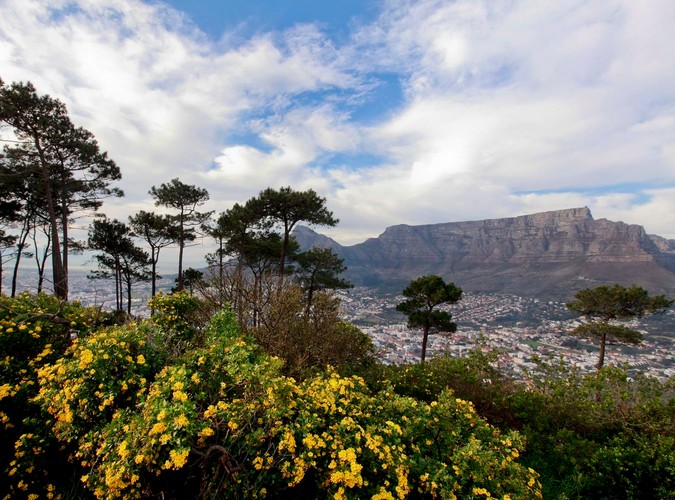 Rezerwat Góry Stołowej w RPA