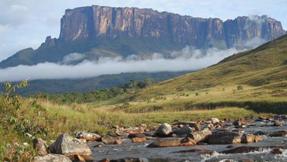 Galeria Wenezuela, Brazylia - dżungla i Roraima, obrazek 1