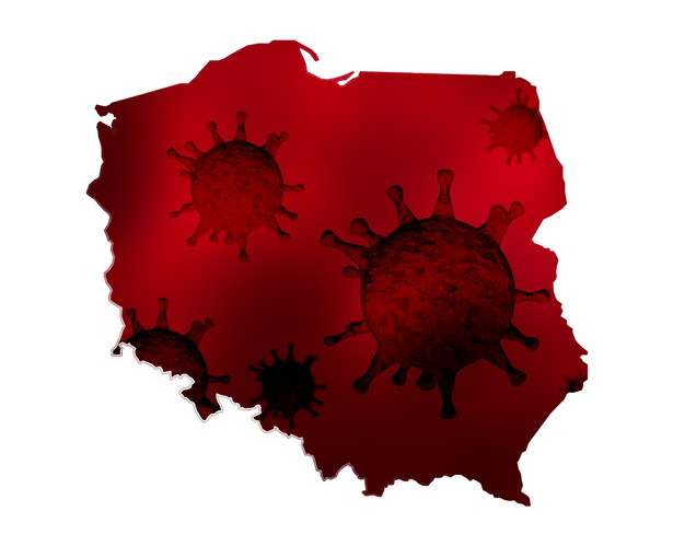 Polska, koronawirus, epidemia, pandemia, wirus, covid-19, mapa, tarcza. / fot. Shutterstock