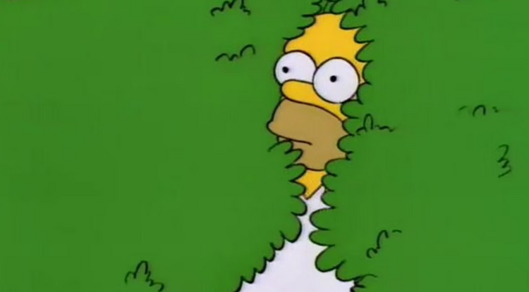 Homer Simpson eltűnik a bokorban