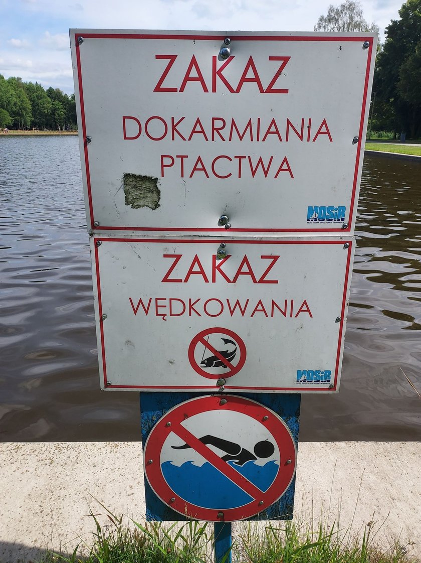 Konflikt na Lewitynie w Pabianicach. "Nie mamy gdzie łowić" - mówią wędkarze