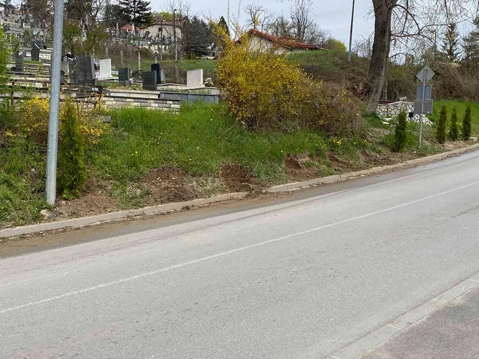 Juče ujutro primećeno je da nedostaje pet tek zasađenih tuja