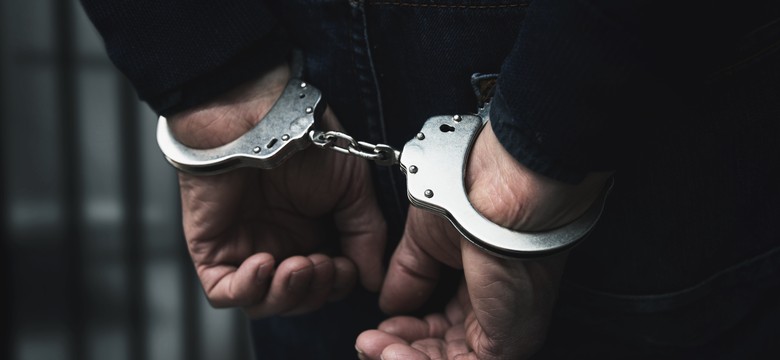 Policja rozbiła szajkę złodziei. Okradali domy słynnych i bogatych