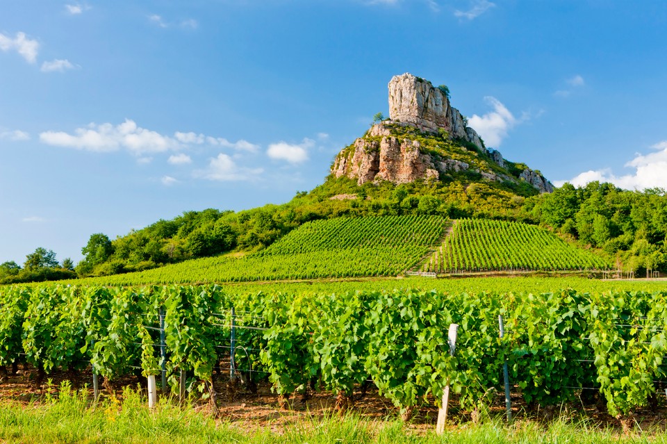 Burgundia
- ambitna kandydatka UNESCO