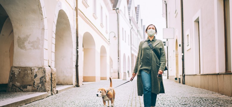 Masz COVID-19 i potrzebujesz pomocy z wyprowadzeniem czworonoga? Oto Pies w Koronie