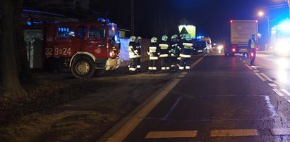 Wielki pożar traw w Łodzi. Straż pożarna broni budynków