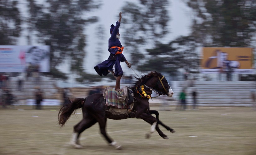 Dobry wojownik Sikhów nie potrzebuje konia. Dobry wojownik Sikhów potrzebuje dwóch! Pokaz umiejętności jeździeckich w czasie wiejskich igrzysk