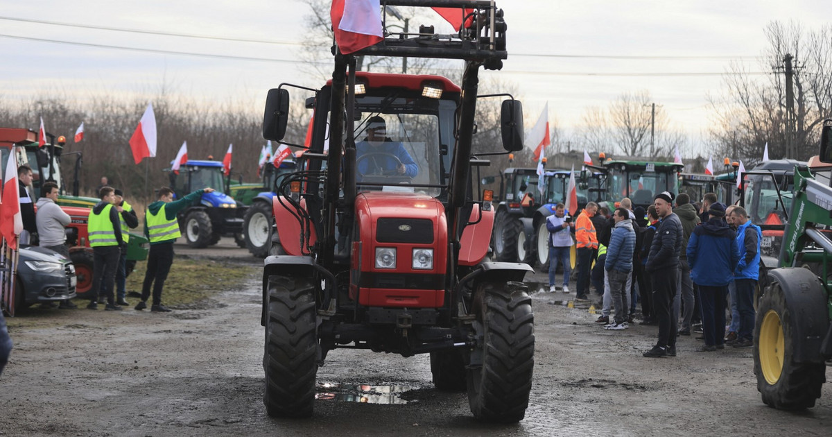 ¿A quién culpan los polacos por la lucha de los agricultores?  Resultados de la encuesta