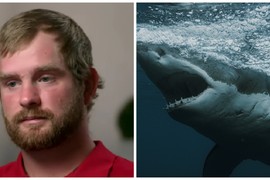 Pao sam sa kruzera i PROBUDIO SE OKRUŽEN AJKULAMA: Preživeo sam 20 SATI dok sam GLEDAO SMRTI U OČI - evo kako! Spašen sam bukvalno sekund pre umiranja