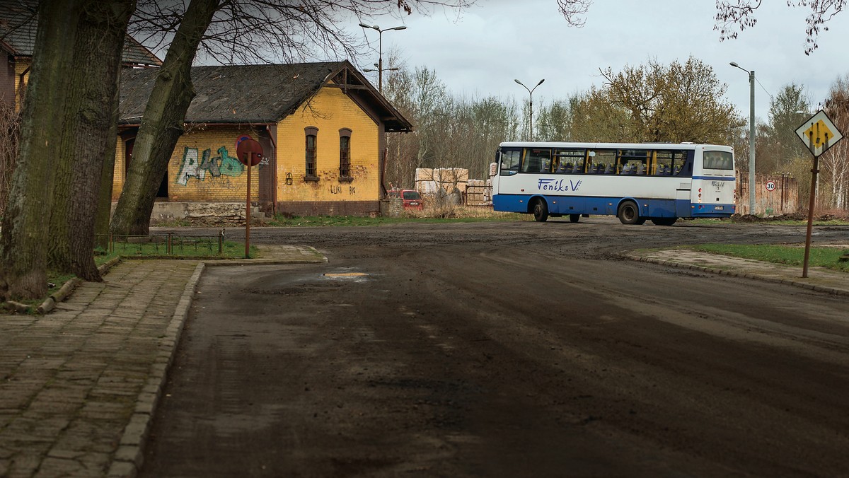 Gozdnica