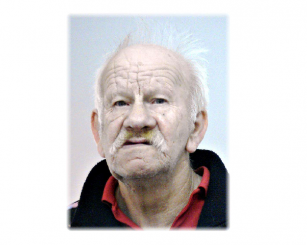 The 72-year-old man disappeared from a medical facility / Photo: police.hu