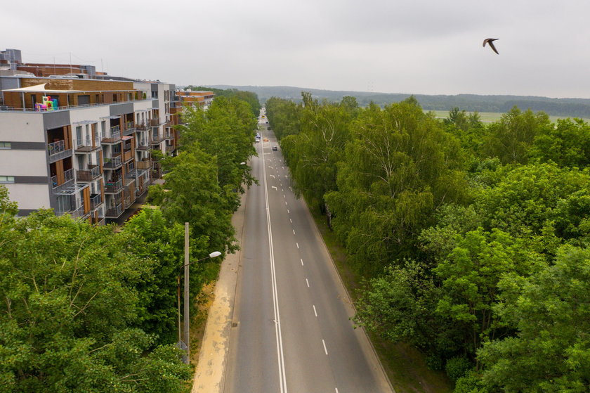 Katowice. Miasto chce wyciąć ponad 100 drzew pod budowę ścieżek rowerowych 