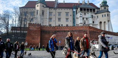 Kto truje krakowskie psy? Marsz przeciw trucicielowi przeszedł przez Kraków