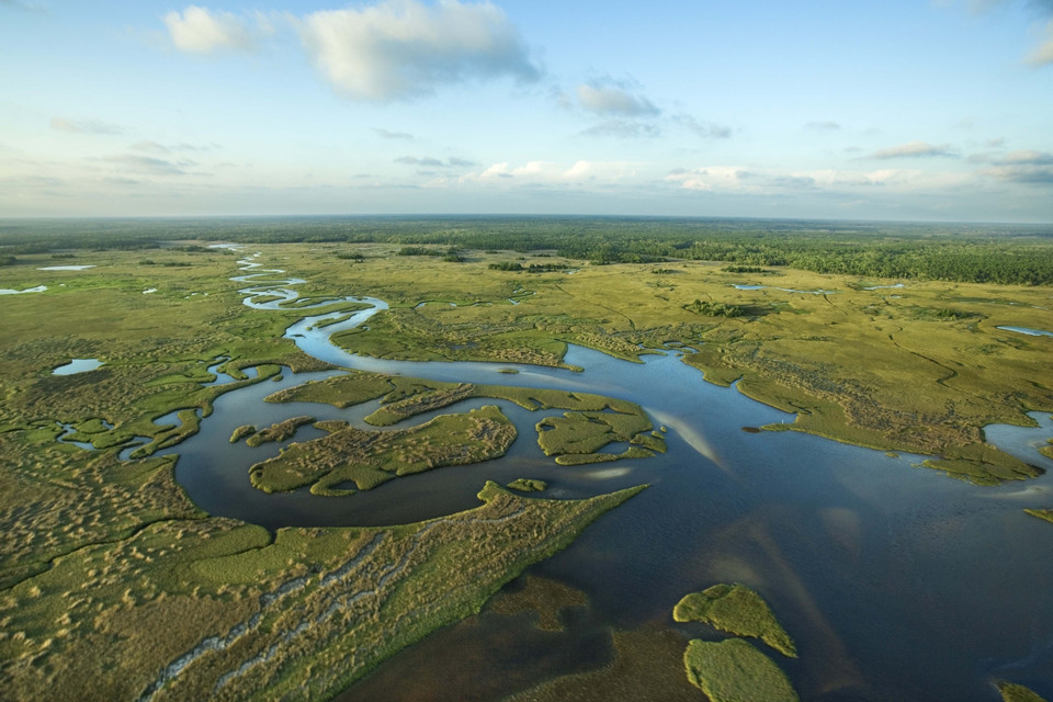Stany Zjednoczone, Park Narodowy Everglades