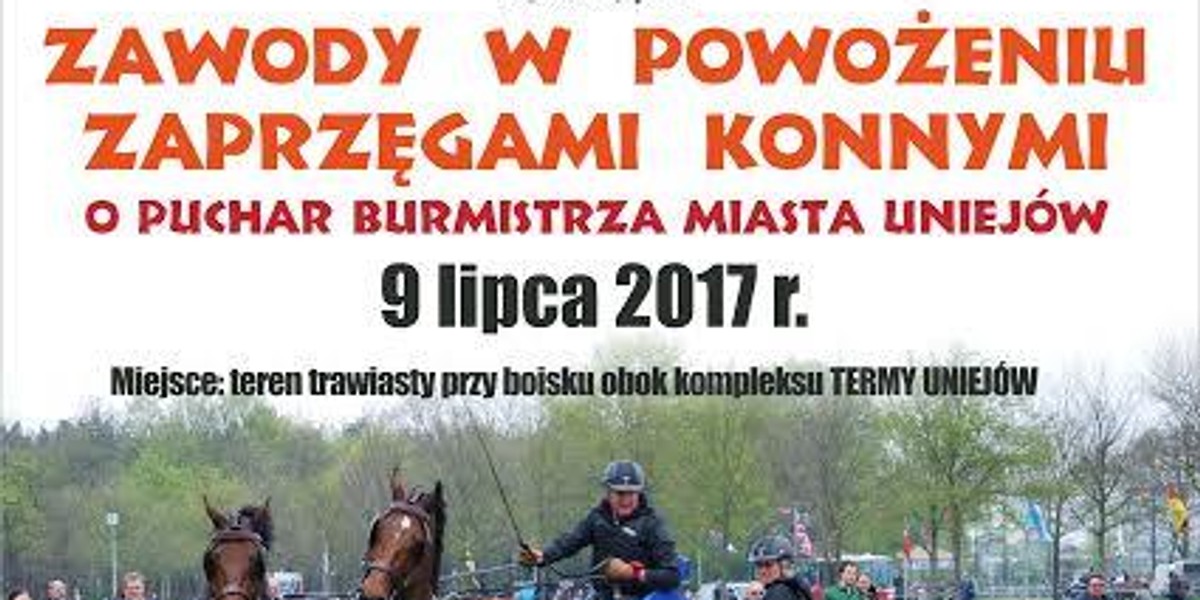 Zawody w powożeniu zaprzęgami w Uniejowie 