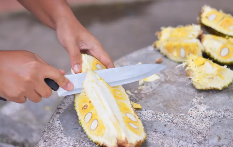 Jackfruit jest bardzo zdrowy i pożywny 