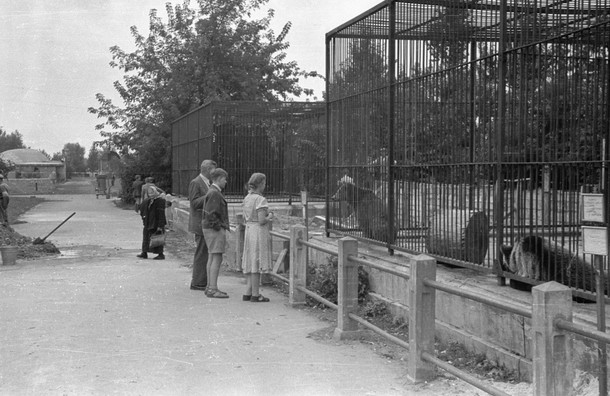 WARSZAWSKIE ZOO 