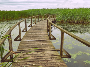 5 gyönyörű kirándulóhely Magyarországon, amiről talán még nem is hallottál, de látnod kell egyszer az életben