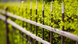 od 2026 roku zakaz ostro zakończonych elementów na ogrodzeniach (także już istniejących). czy polacy będą musieli masowo wymieniać płoty?