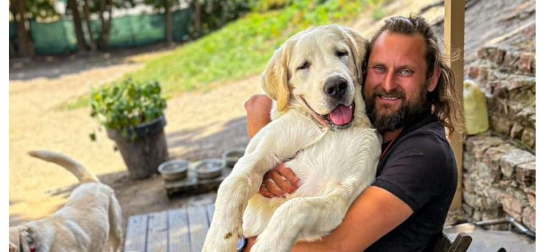 Cudem odnalazł się pies Polaka zaginionego we Włoszech. Ogromny apel do Ambasady RP o wsparcie poszukiwań na większą skalę