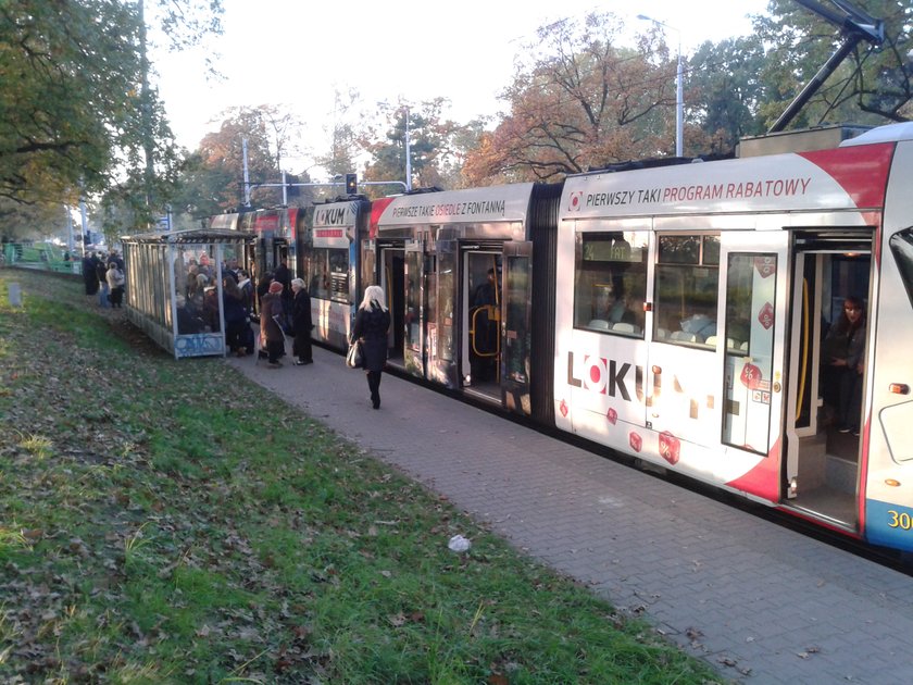 Wszystkich Świętych we Wrocławiu 2014