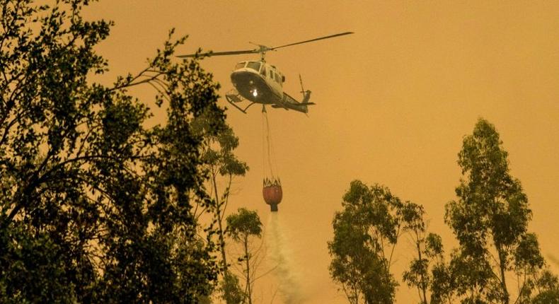 A firefighter helicopter helps try to put out a forest fire in Pumanque, 140 km south of Santiago on January 21, 2017