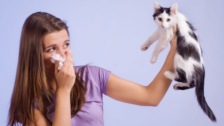 Alergia na kota