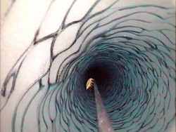 Niezwykłe odkrycie. Nieznane bakterie w jeziorze Wostok