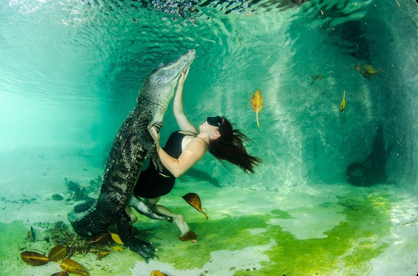 Neverovatne scene u bazenu prihvatilišta