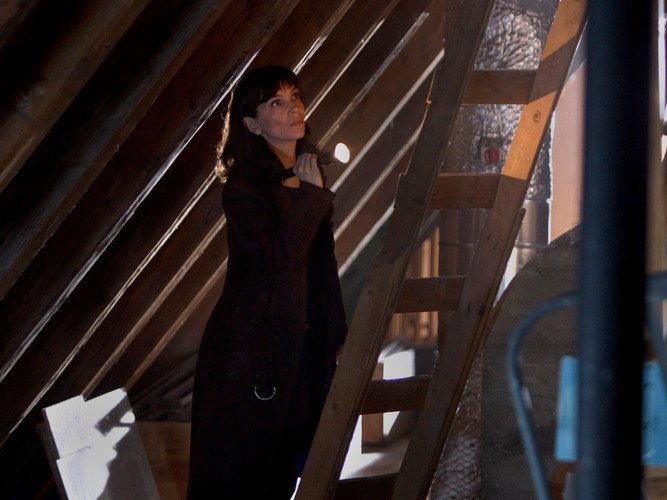 Inspektor Irene Huss