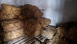 Zaplenjen duvan u balama kod Sremske Mitrovice