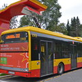 Ponad 2,2 mld zł na bezemisyjne autobusy w polskich miastach