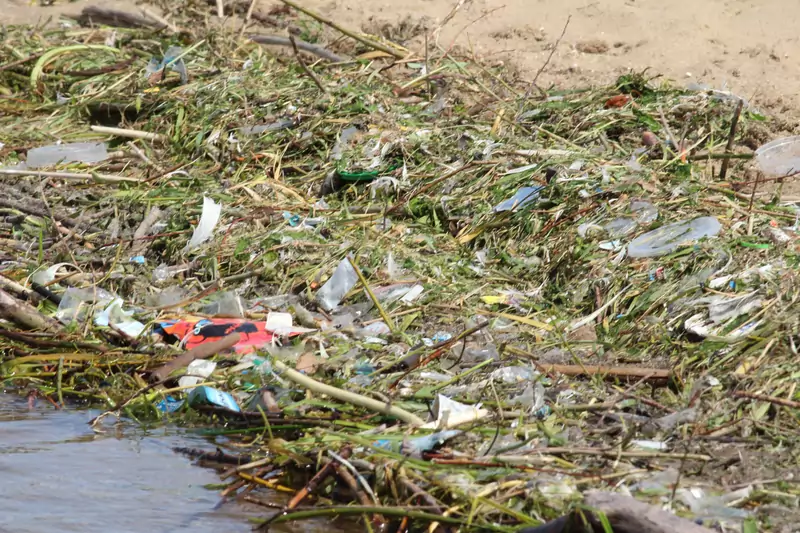 Plastikowe odpady wśród wyrzuconej na brzeg roślinności morskiej.