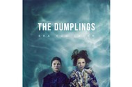 the dumplings