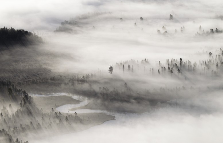 Niebiański widok, fot. Magnus Carlsson (Szwecja)