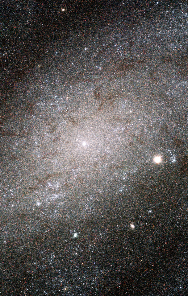 C70 - NGC 300