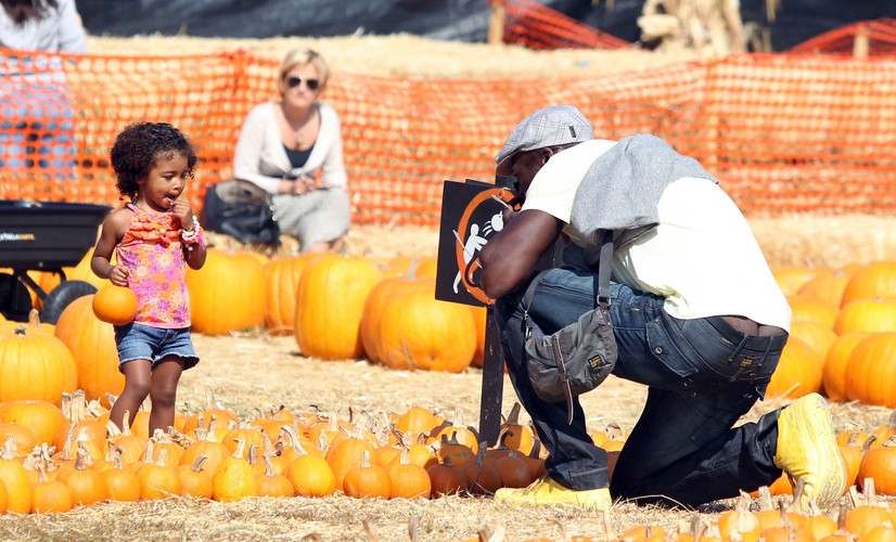 Seal robił Lou zdjęcia na tle dyń