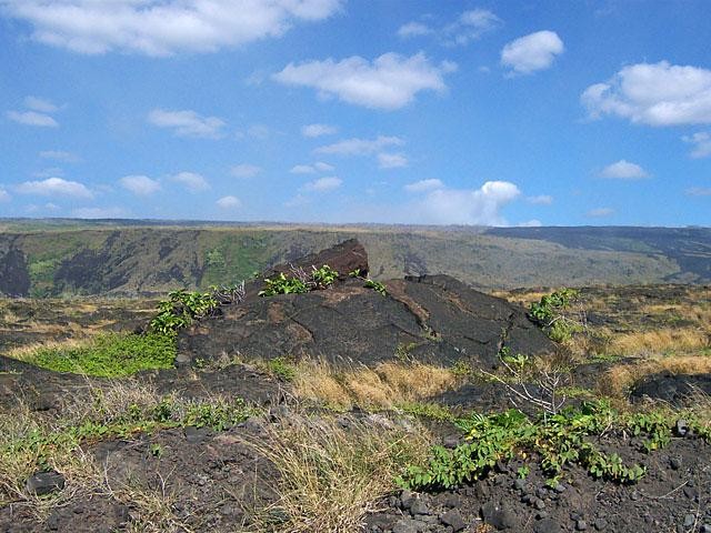 Galeria USA - Hawaje - Big Island, obrazek 10