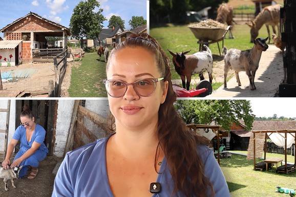 SAMA GRADILA STOLOVE, OBJEKTE I RESTORAN Majka četvoro dece od zapuštenog placa napravila porodični biznis na selu (VIDEO)