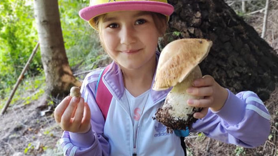 7-letnia Liliana kocha zbierać grzyby! Pasję do grzybobrania odziedziczyła w genach 