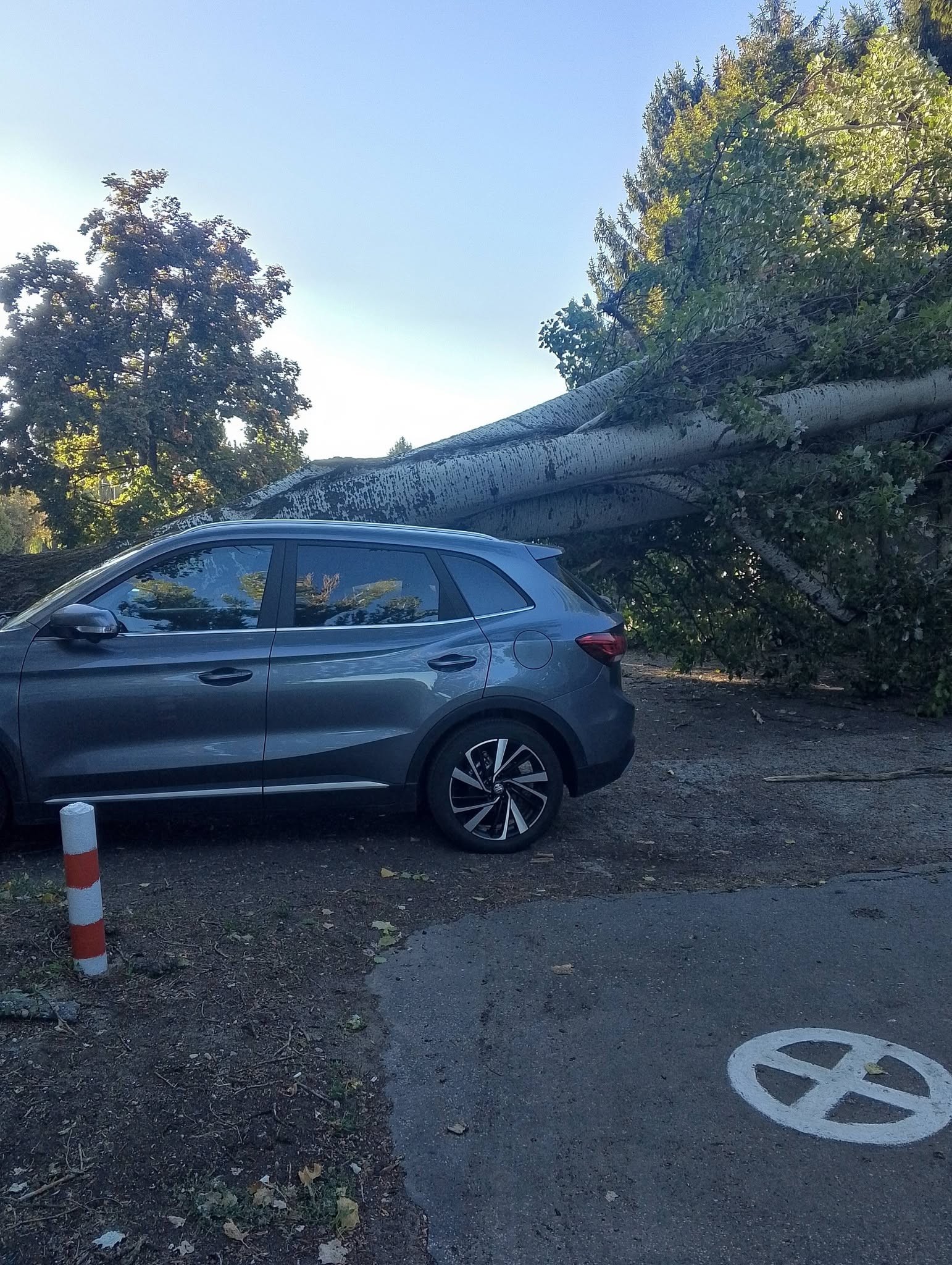 Strom zničil autá aj neďaleké garáže.