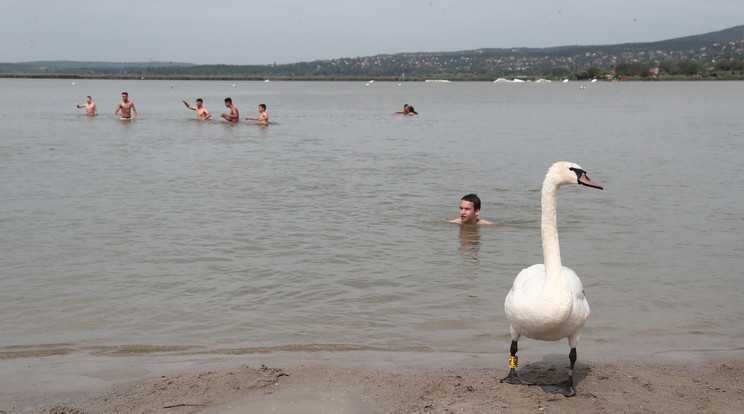 Megnyitották a szezont / Fotó: Isza Ferenc