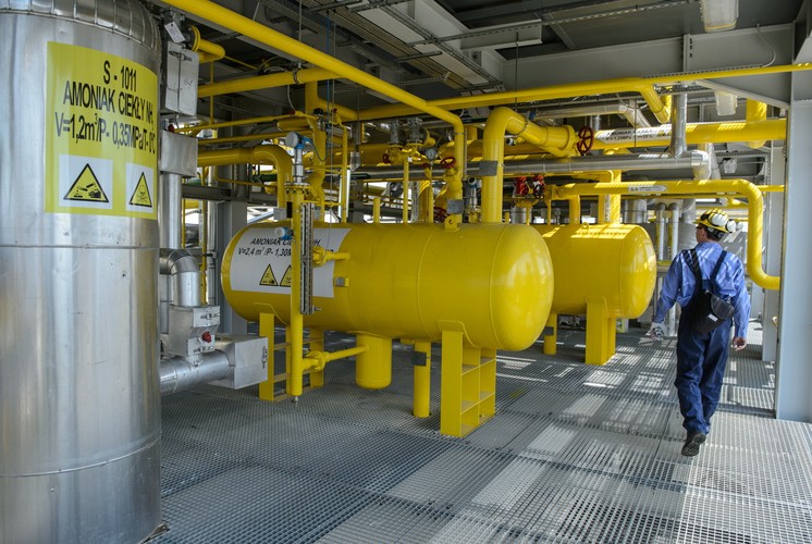 Jednostką dominującą są Zakłady Azotowe w Tarnowie-Mościcach notowane są na warszawskiej giełdzie od 2008 roku. Zgoda Komisji Europejskiej na włączenie do Grupy Azoty ZA Puławy wydana została na początku 2013 r.